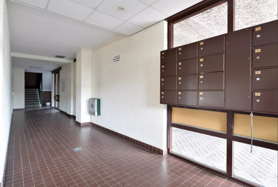 timmers-timmers-schandelerboord-6415-px-heerlen-schandelen